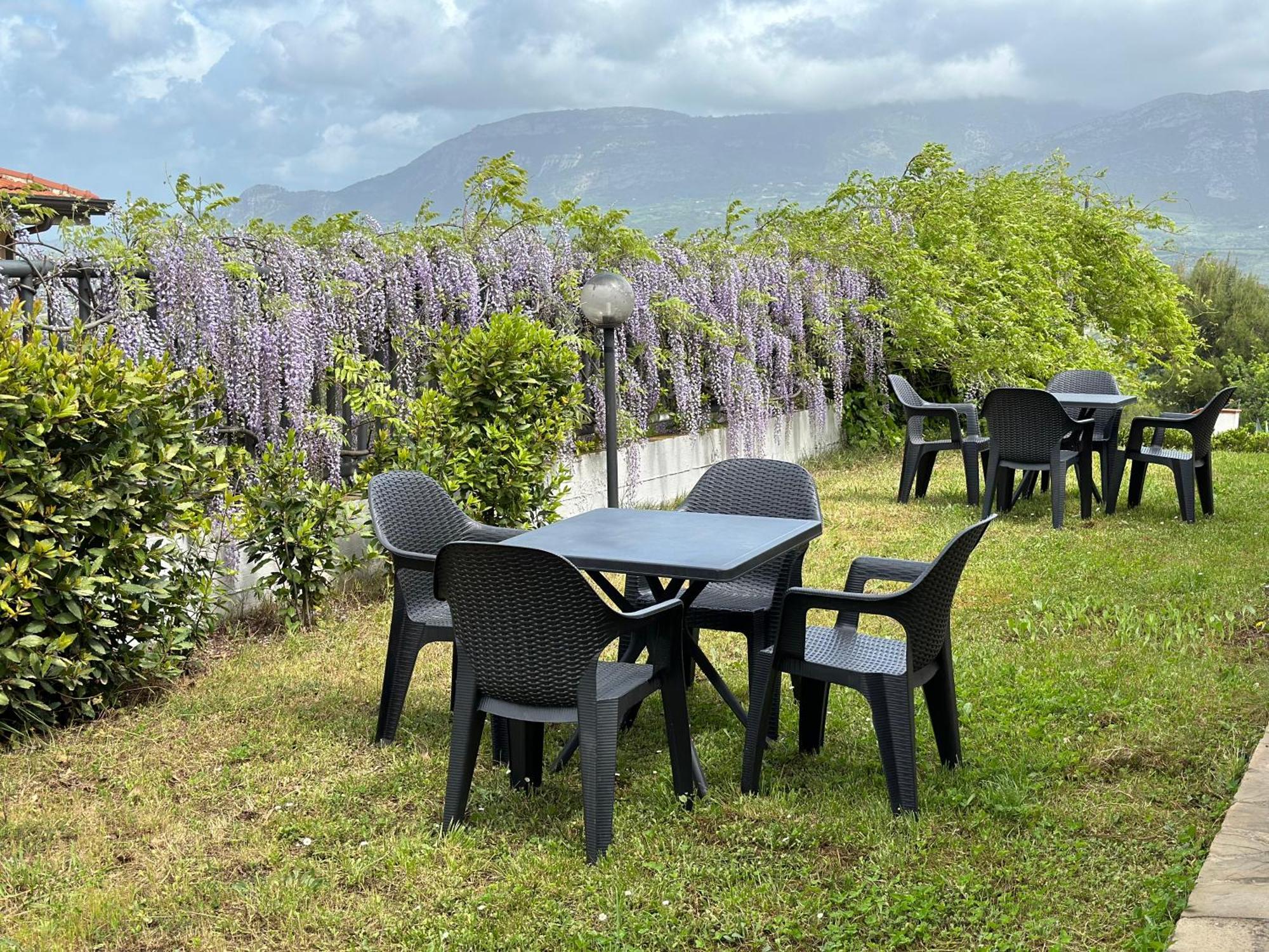 Il Poggio Del Cilento Country House อากรอโปลี ภายนอก รูปภาพ
